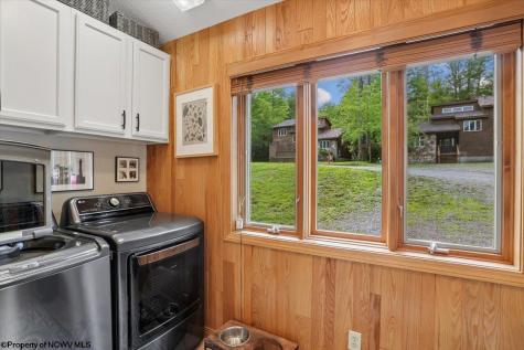 156 Woods End Court Davis WV 26260