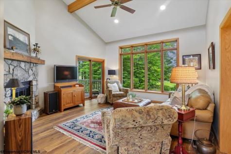 156 Woods End Court Davis WV 26260