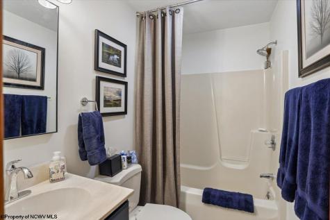 156 Woods End Court Davis WV 26260