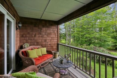 156 Woods End Court Davis WV 26260