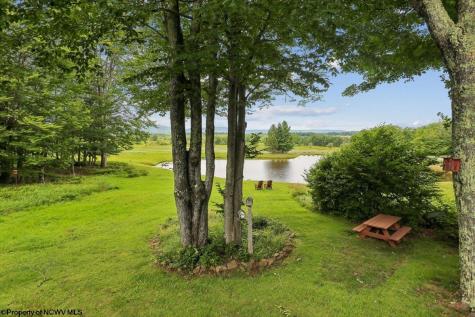 156 Woods End Court Davis WV 26260