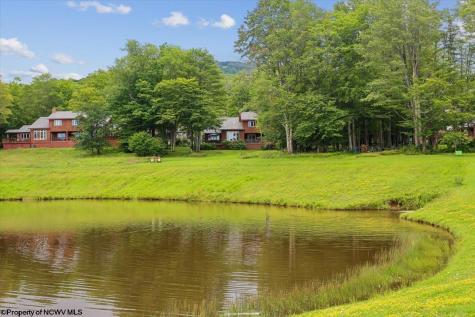 156 Woods End Court Davis WV 26260