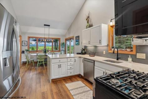 156 Woods End Court Davis WV 26260