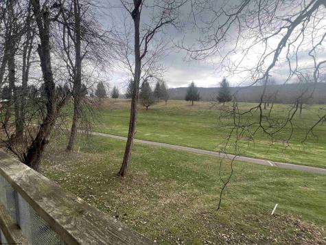 56 Baneberry Lane Terra Alta WV 26764-0000