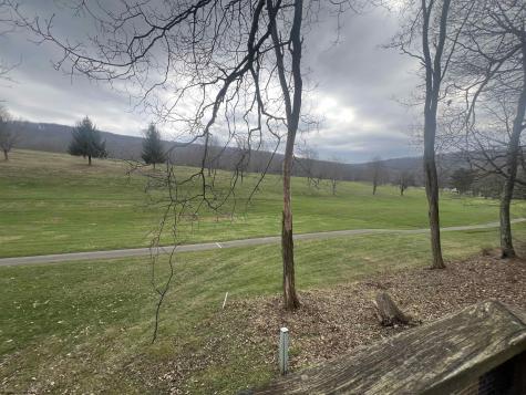 56 Baneberry Lane Terra Alta WV 26764-0000
