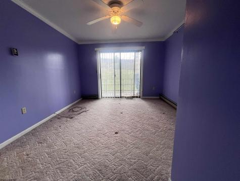 56 Baneberry Lane Terra Alta WV 26764-0000