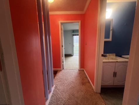56 Baneberry Lane Terra Alta WV 26764-0000