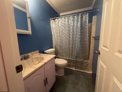 56 Baneberry Lane Terra Alta WV 26764-0000