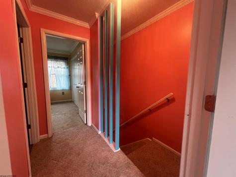 56 Baneberry Lane Terra Alta WV 26764-0000