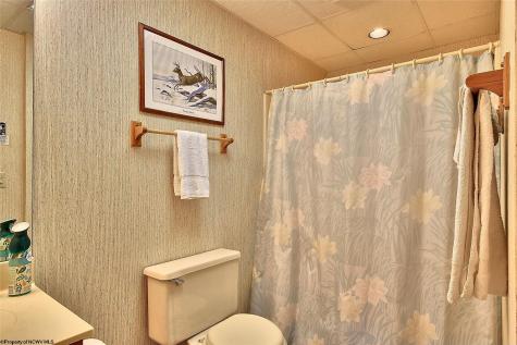 45 Deerfield Circle Davis WV 26260