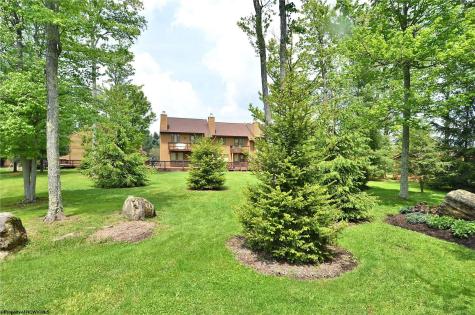 45 Deerfield Circle Davis WV 26260