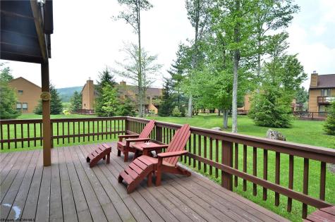 45 Deerfield Circle Davis WV 26260