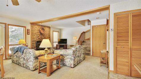 45 Deerfield Circle Davis WV 26260