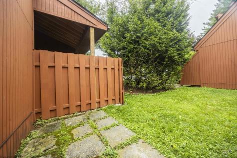 4 Pendletonheim Circle Davis WV 26260