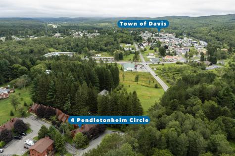 4 Pendletonheim Circle Davis WV 26260