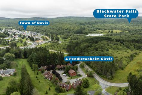 4 Pendletonheim Circle Davis WV 26260