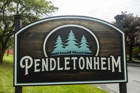 4 Pendletonheim Circle Davis WV 26260