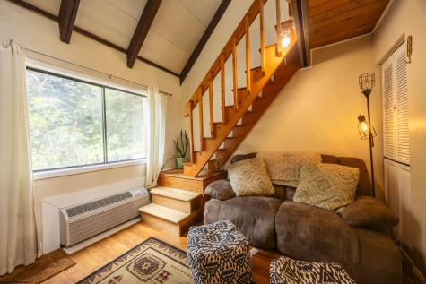 4 Pendletonheim Circle Davis WV 26260