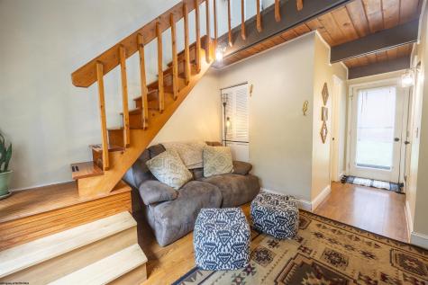 4 Pendletonheim Circle Davis WV 26260