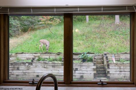 213 Morgan Drive Morgantown WV 26505