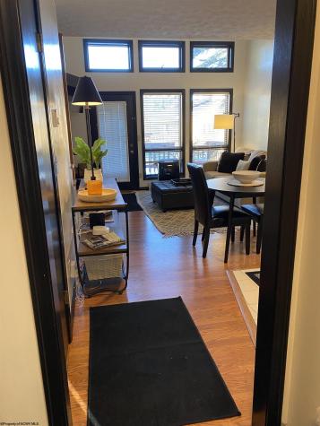 104 Deerfield Village Davis WV 26260