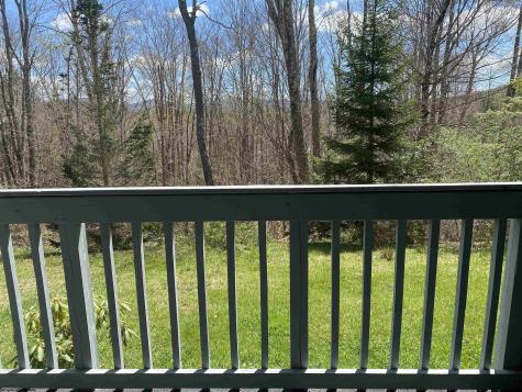 31 Ash Lodge Court Davis WV 26260