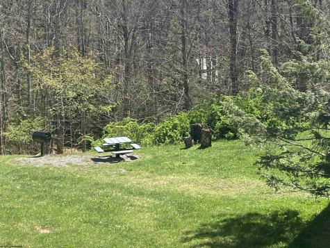 31 Ash Lodge Court Davis WV 26260