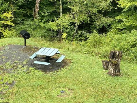 31 Ash Lodge Court Davis WV 26260