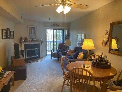31 Ash Lodge Court Davis WV 26260