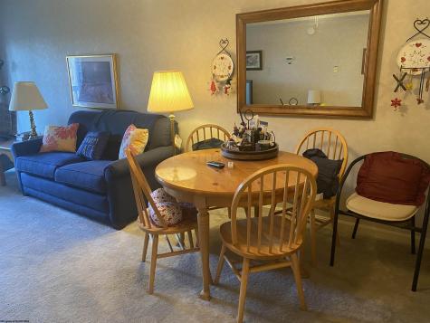 31 Ash Lodge Court Davis WV 26260