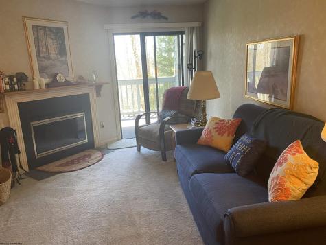 31 Ash Lodge Court Davis WV 26260