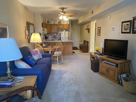 31 Ash Lodge Court Davis WV 26260