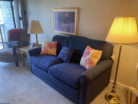 31 Ash Lodge Court Davis WV 26260