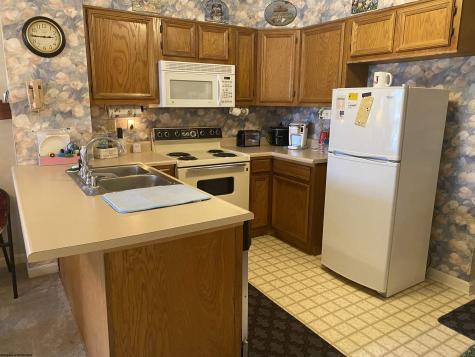 31 Ash Lodge Court Davis WV 26260
