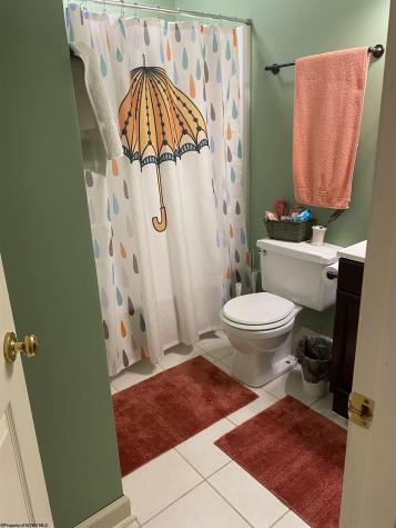 31 Ash Lodge Court Davis WV 26260