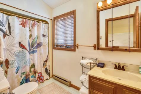 11 Deerfield Circle Davis WV 26260
