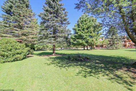 11 Deerfield Circle Davis WV 26260