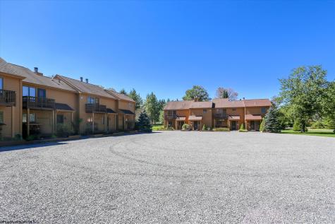 11 Deerfield Circle Davis WV 26260
