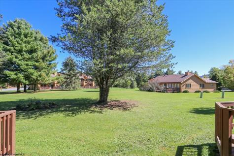 11 Deerfield Circle Davis WV 26260