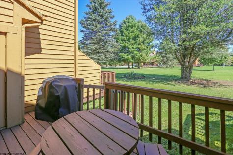 11 Deerfield Circle Davis WV 26260