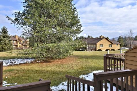 11 Deerfield Circle Davis WV 26260