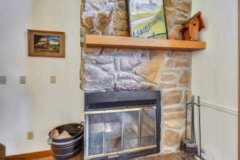 11 Deerfield Circle Davis WV 26260