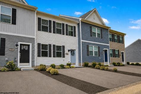 759 Mulligan Court Maidsville WV 26541