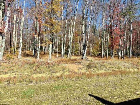 603 Woodside Drive Thomas WV 26292