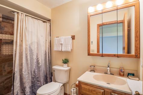 104 Deerfield Circle Davis WV 26260