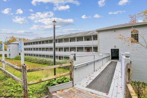 113 Ash Lodge Court Davis WV 26260
