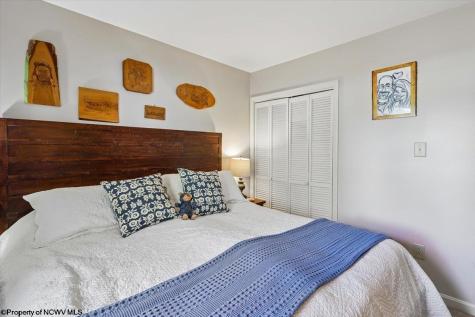113 Ash Lodge Court Davis WV 26260