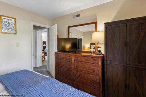 113 Ash Lodge Court Davis WV 26260