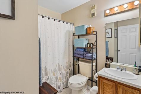 113 Ash Lodge Court Davis WV 26260
