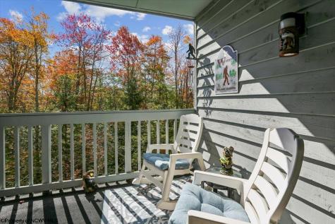 113 Ash Lodge Court Davis WV 26260